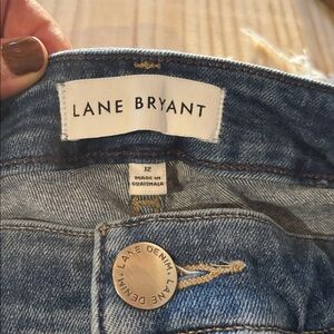 Lane Bryant Classic Blue Denim